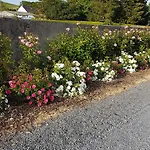 D'hote Les Ondines B&B
