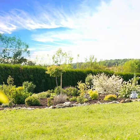 D'hote Les Ondines Bed & Breakfast Vinay (Marne)