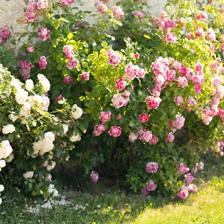 D'hote Les Ondines Bed & Breakfast 3*