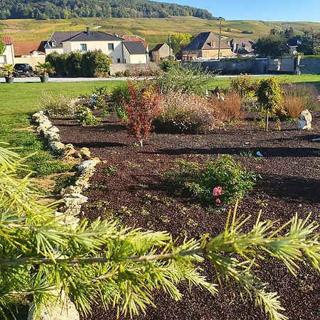 D'hote Les Ondines Vinay (Marne)