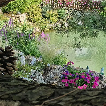 לינה וארוחת בוקר D'hote Les Ondines