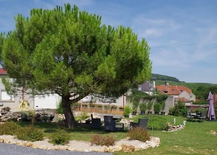 לינה וארוחת בוקר D'hote Les Ondines Vinay (Marne)