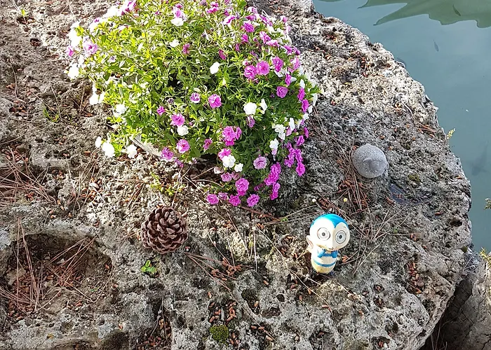 D'hote Les Ondines לינה וארוחת בוקר