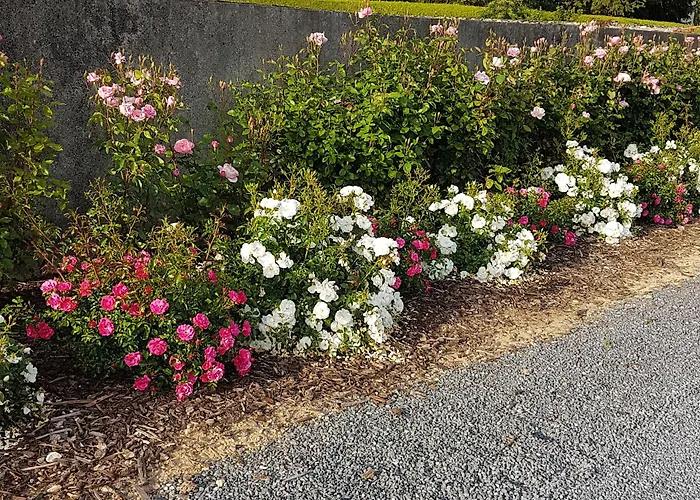 D'hote Les Ondines לינה וארוחת בוקר